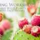 Workshop-Edible-WILD-Plants