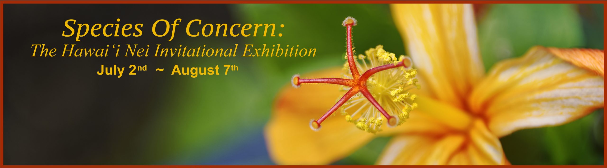 Species of Concern: The Hawaii Nei Invitation Exhibition
