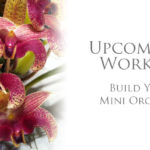 Workshop-BYO-Mini-Orchid-Display