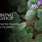 WorkshoLandscapingNativeHawaiianPlants