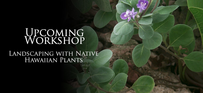 WorkshoLandscapingNativeHawaiianPlants